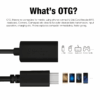 USB-C to USB 3.1 Adapter -- MotPoet